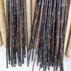 Blackish-ebony bamboo cane